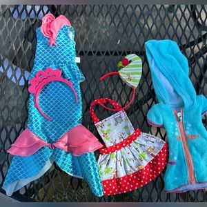 Wellie Wishes outfits from American Girl